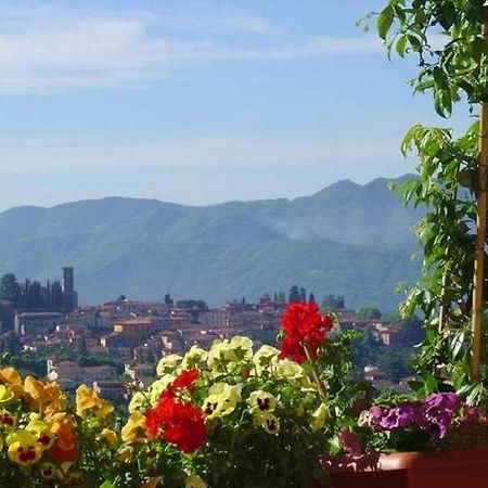 Il Trebbio Villa Barga Kültér fotó